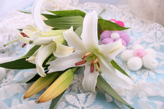 百合花蕾丝素白底纹