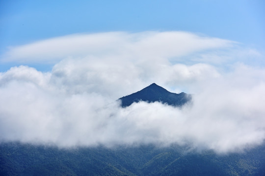 高山云海