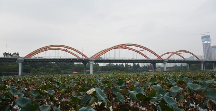 洪湖彩虹桥