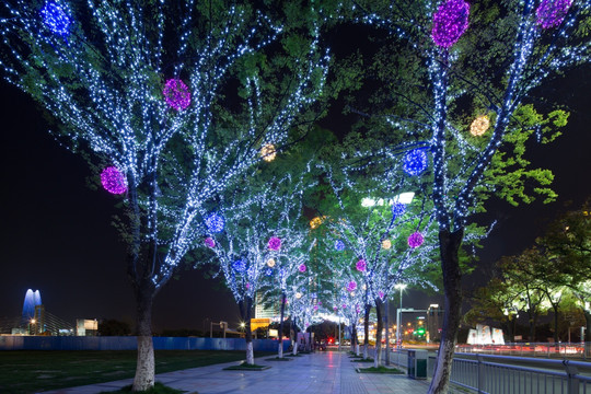 景观树LED装扮
