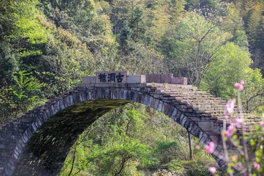 宁波古洞桥