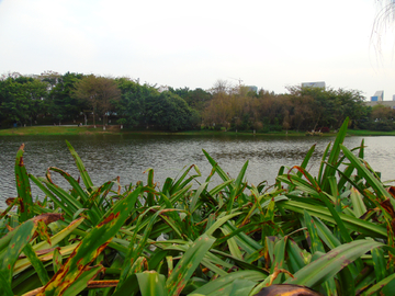 松山湖