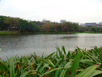 松山湖