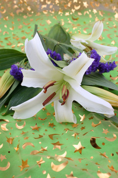 百合花绿色底纹