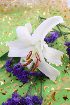 百合花绿色底纹