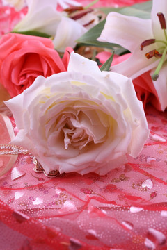 白色玫瑰花百合花红色背景