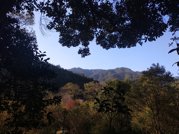 高山风景