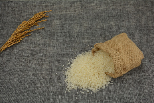 五谷杂粮大米米粒长粒米