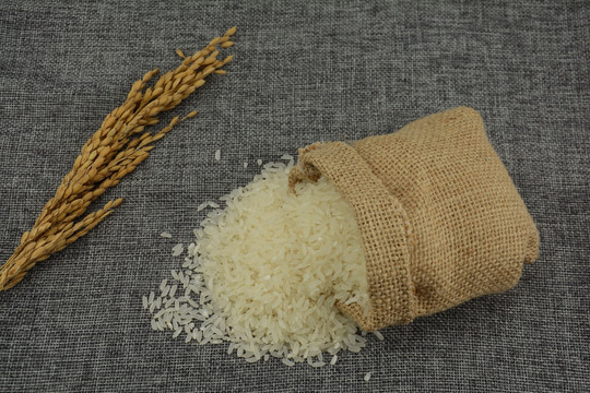 五谷杂粮大米米粒