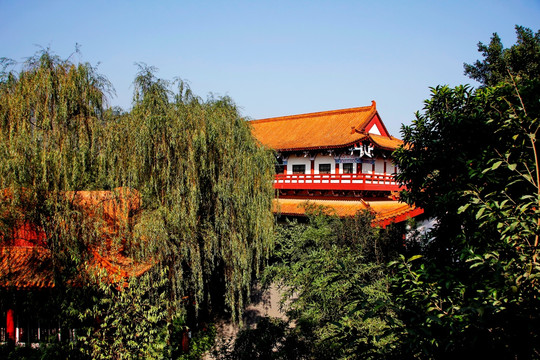 中国酒文化城