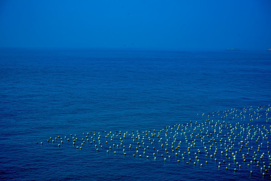 海水 蓝天