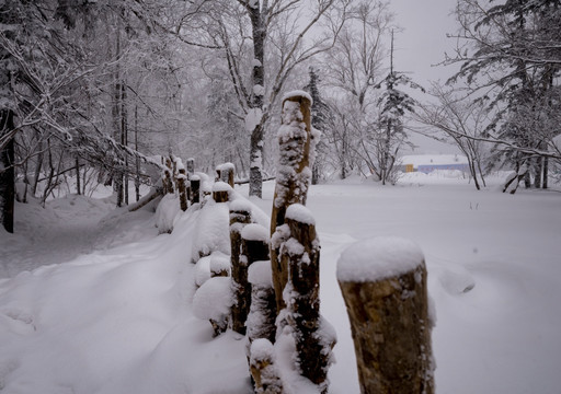 林海雪原  雪乡