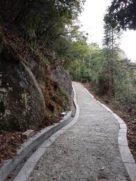 山路风景