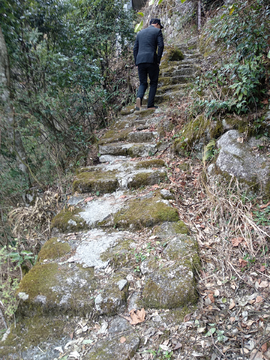 山路风景