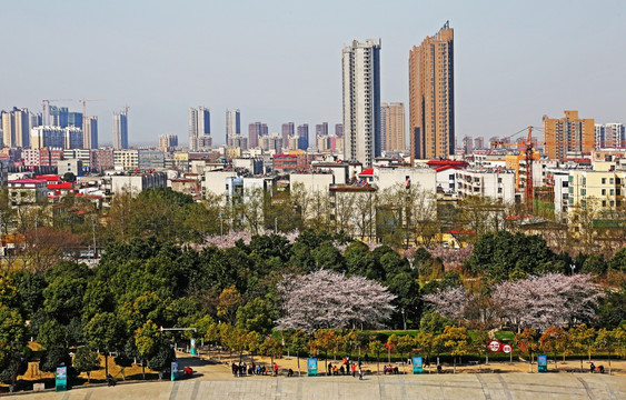 城市园林