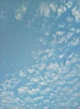 天空 天 蓝天 云 白云