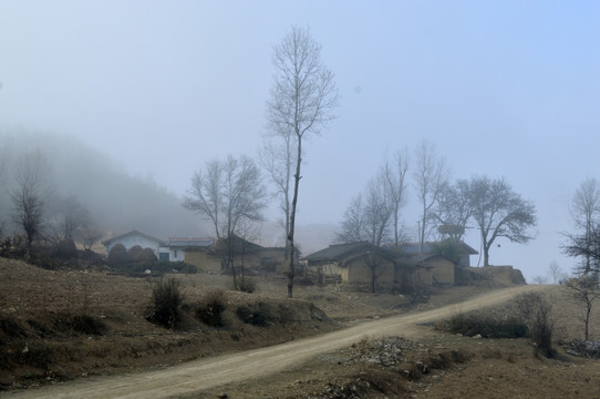 农村 土墙房 雾气