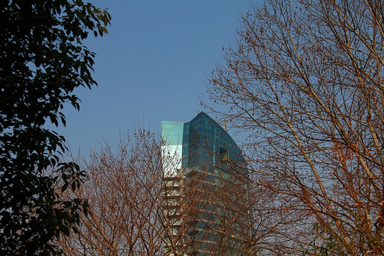 无锡蠡湖 城市风景