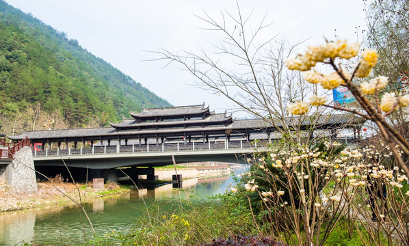 景宁畲乡廊桥 廊桥 古建筑
