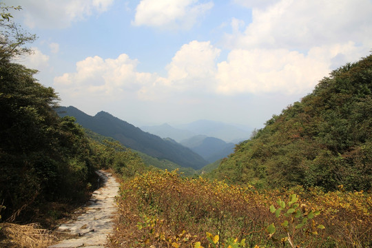 山上小道