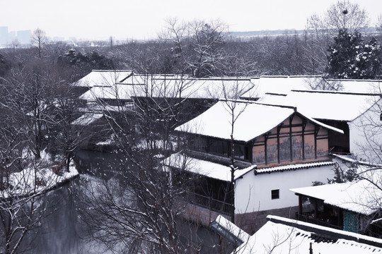 西溪湿地雪景