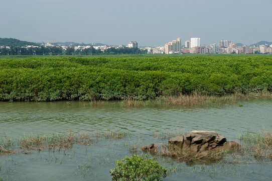 洛阳江湿地