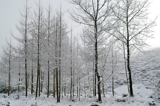 大凉山彝族村落雪景