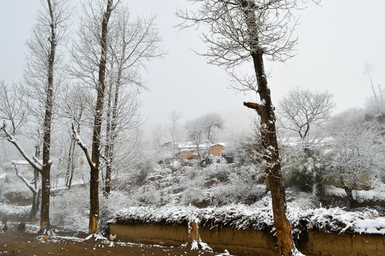 大凉山 彝族村庄雪景