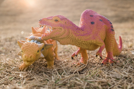 恐龙 玩具