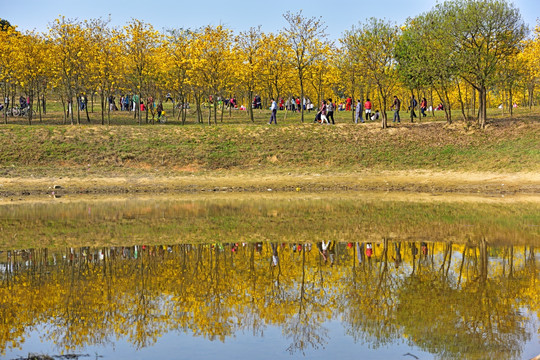 松山湖美景