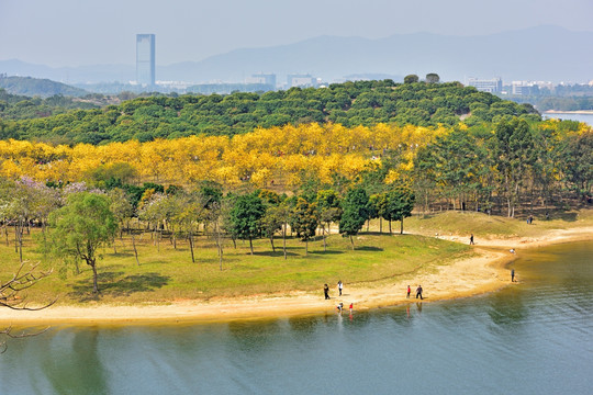 松山湖