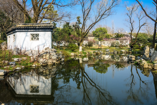 园林春景
