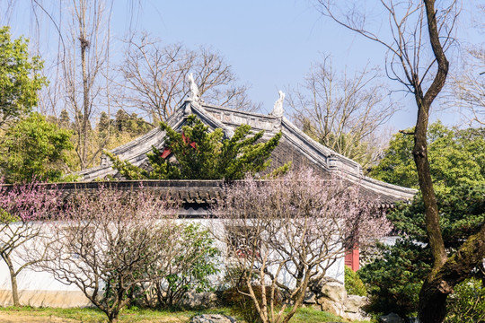 园林春景