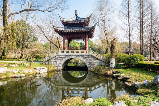 园林春景