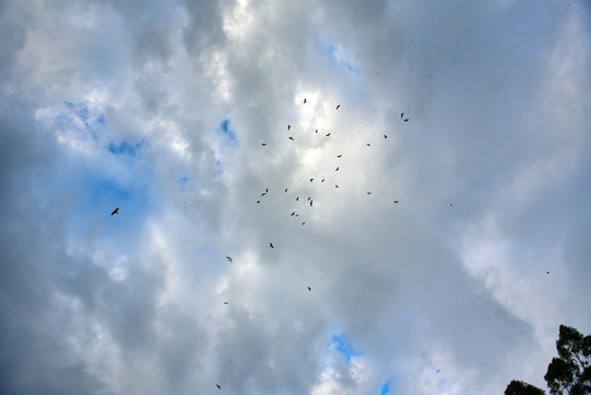 天空