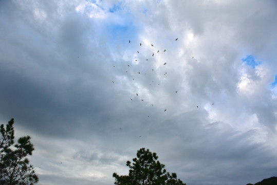 天空