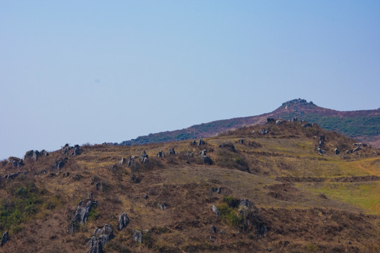 卡斯特 山野