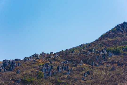 山石 山野