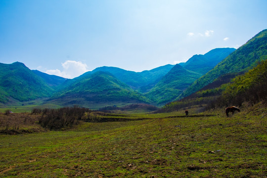 丘陵 山地