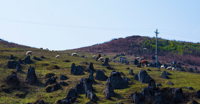 卡斯特 山地