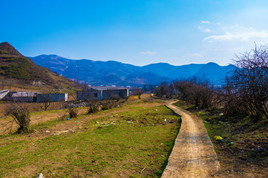 小路 路径