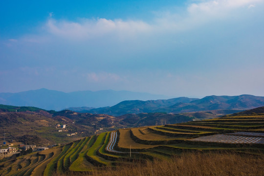 丘陵