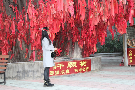 许愿树
