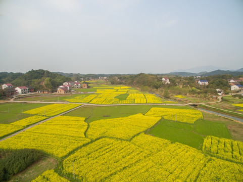 田园风光