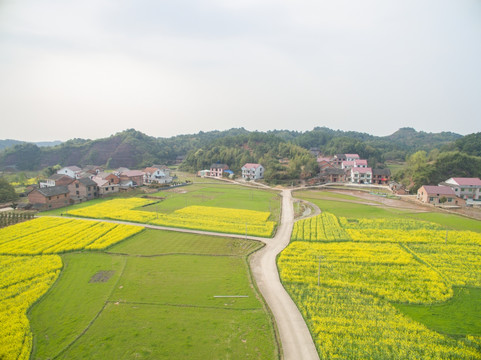 田园风光