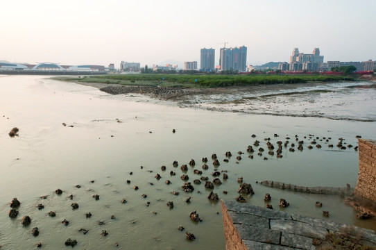 泉州湾湿地景观