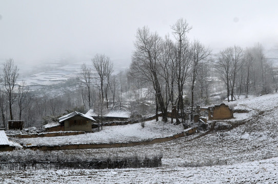 大凉山 彝族 村庄 雪景