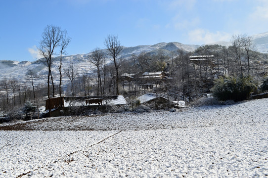 大凉山 农村雪景