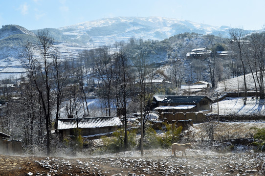 大凉山 乡村雪景