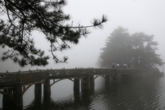 如琴湖风景